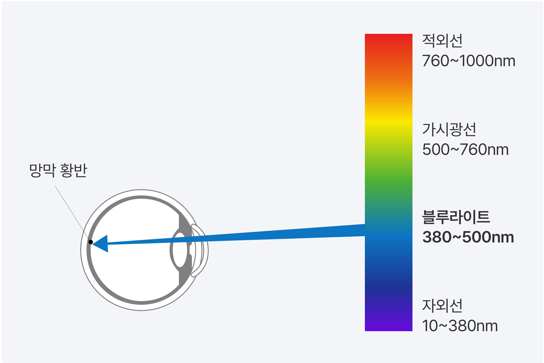 Special Line 구조